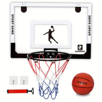 Indoor Basketball Hoop